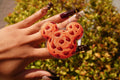 Park Day Cookie