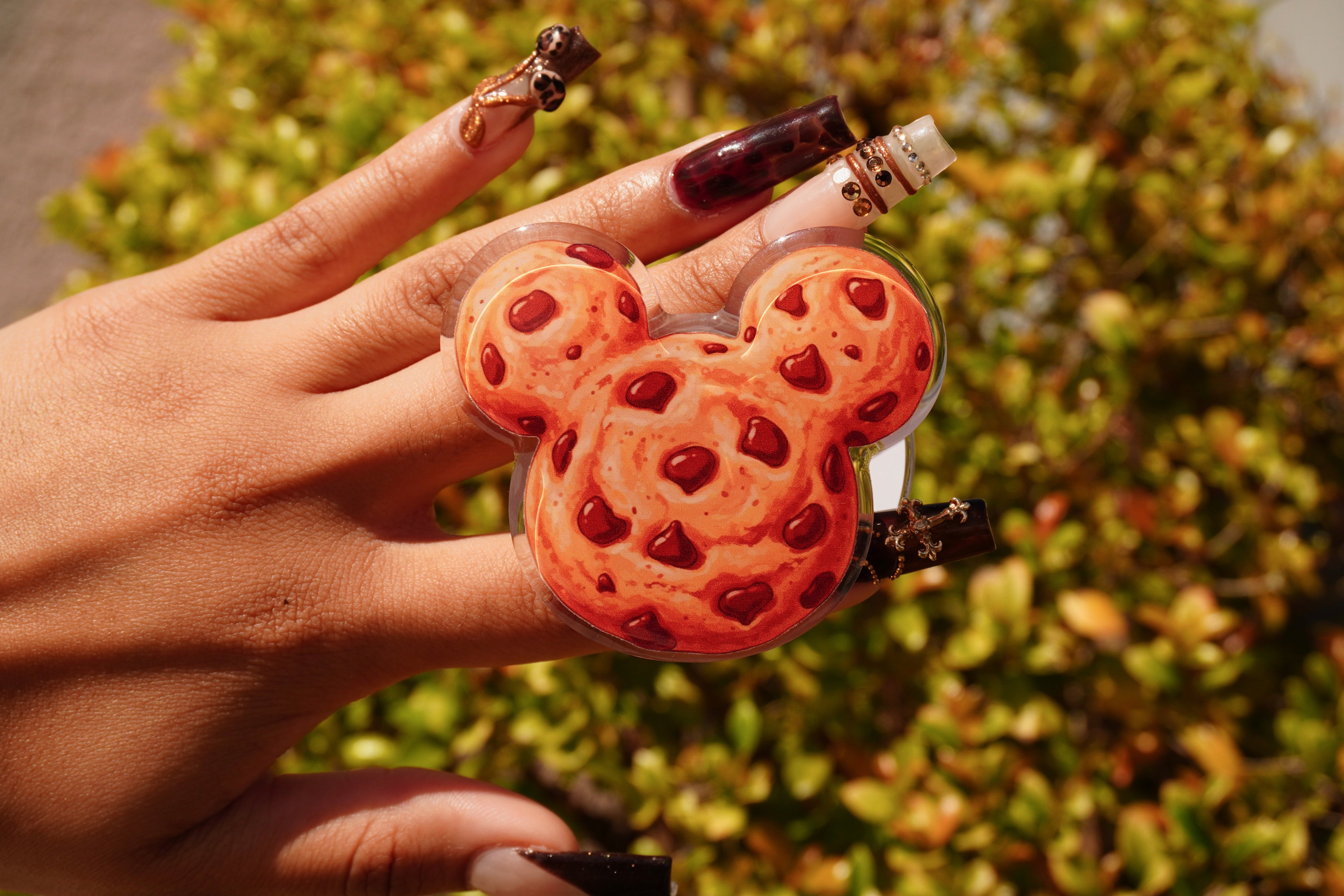 Park Day Cookie