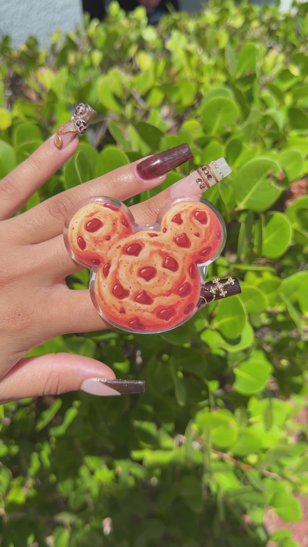 Park Day Cookie